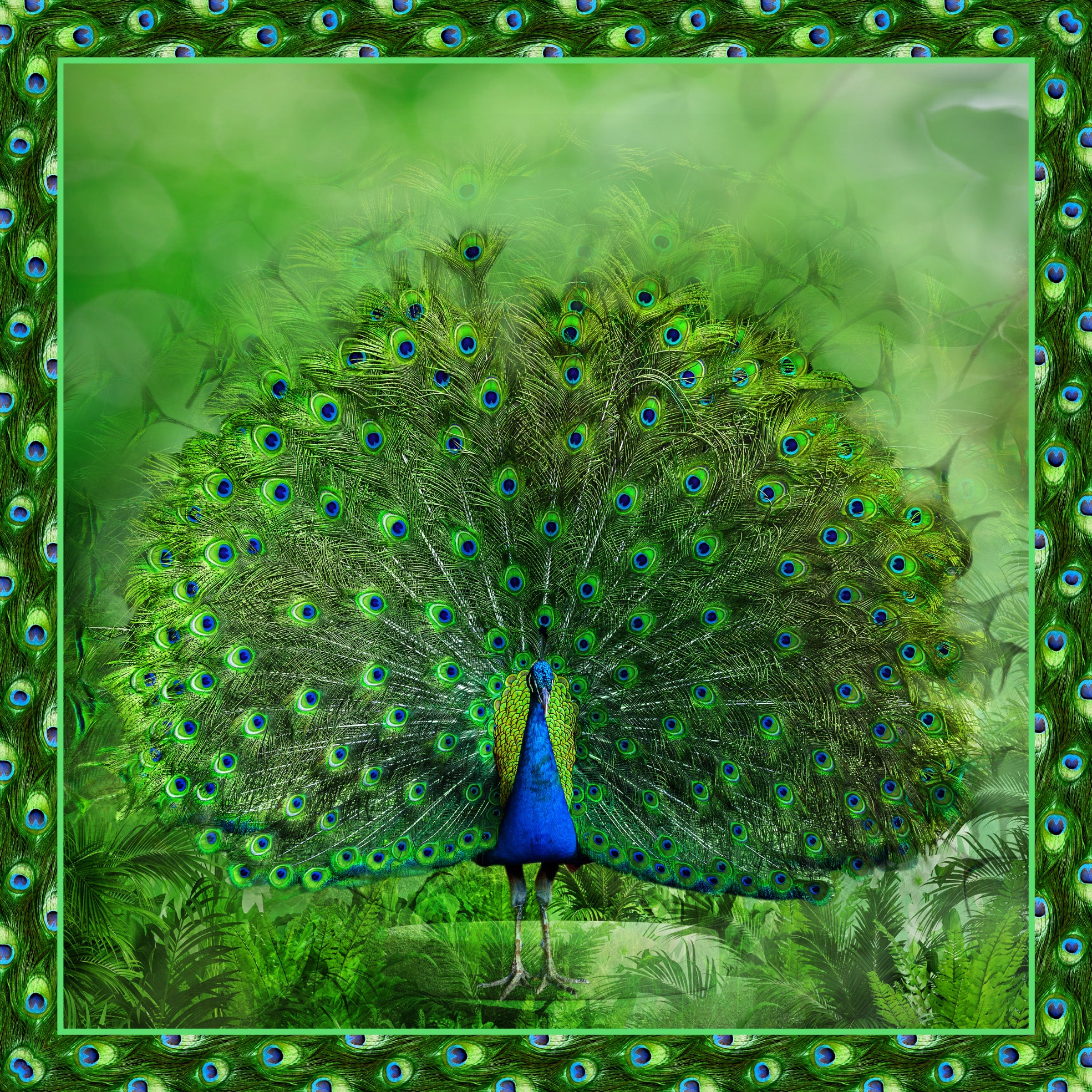 100% Mulberry Silk Scarf - Peacock – JODI MELISSA
