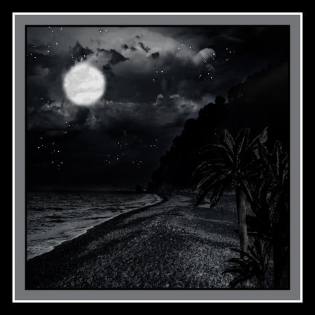100% silk scarf moonlight at the beach art in black hues